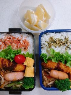 ☆高校生娘と私のお弁当☆54-レシピのメイン写真