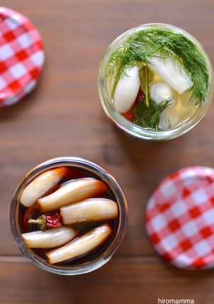 らっきょうの醤油漬けとハーブ甘酢漬け-レシピのメイン写真
