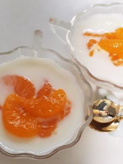 みかんの缶づめまるごとヨーグルトゼリー-レシピのメイン写真