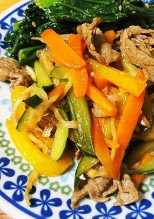 切干大根ともやしで肉野菜炒め-レシピのメイン写真