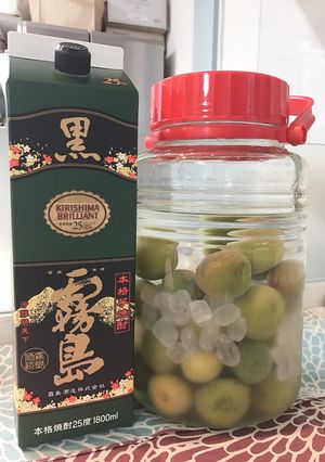 冷凍梅酒/早く飲める/黒霧島2019-レシピのメイン写真