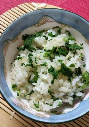 【春菊ご飯】が美味しい♪-レシピのメイン写真