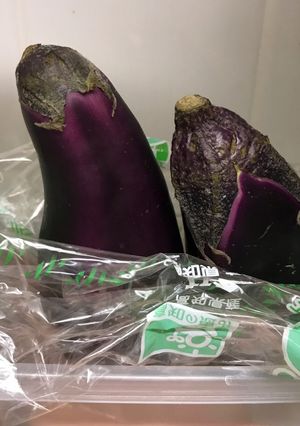 なすの保存 立てるだけ-レシピのメイン写真