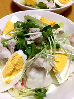 茹で豚バラとキャベツのサラダ-レシピのメイン写真