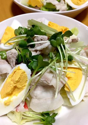 茹で豚バラとキャベツのサラダ-レシピのメイン写真