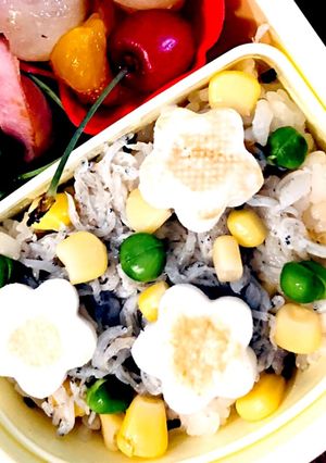 簡単にきれい可愛く♡しらすのっけ弁当-レシピのメイン写真
