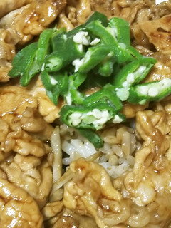 絶品!うなぎのたれで豚丼-レシピのメイン写真