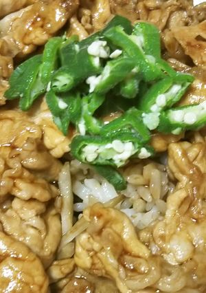 絶品!うなぎのたれで豚丼-レシピのメイン写真