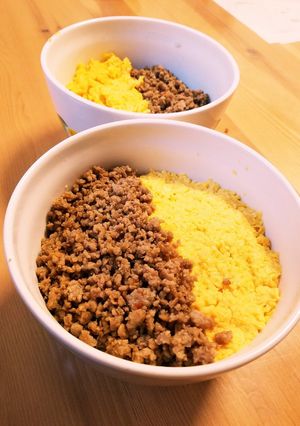 ☆スピードレシピ☆二色丼！-レシピのメイン写真