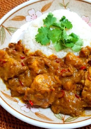 ベトナムカレー-レシピのメイン写真
