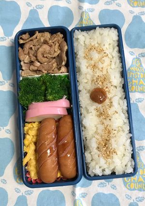 20190612マイ弁当-レシピのメイン写真