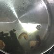 塩ラーメンのカエシ
