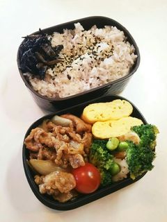 お弁当(6/11)豚肉のめんつゆ生姜焼き-レシピのメイン写真