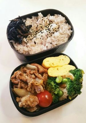 お弁当(6/11)豚肉のめんつゆ生姜焼き-レシピのメイン写真