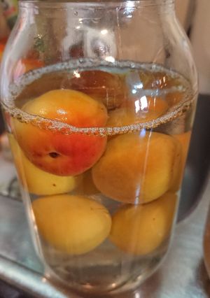 ウオッカと蜂蜜で梅酒浸けました。-レシピのメイン写真