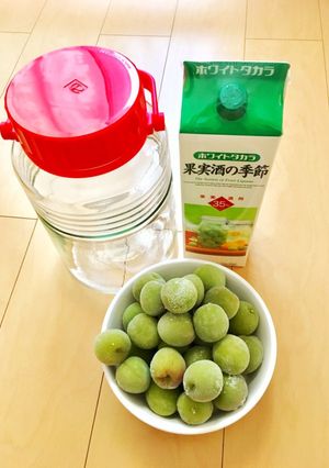 糖質0 簡単手作り 低糖質梅酒-レシピのメイン写真