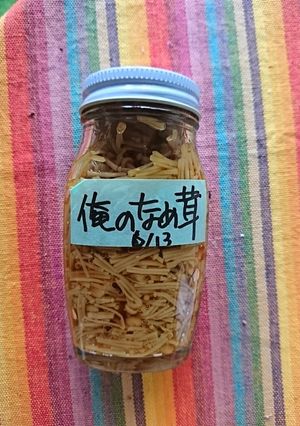 5分でできる！自家製なめ茸！-レシピのメイン写真