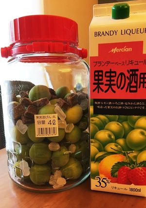 梅酒ブランデーリキュール-レシピのメイン写真