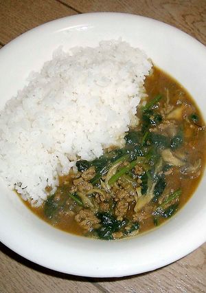 カレー粉でひき肉とほうれん草のカレー-レシピのメイン写真