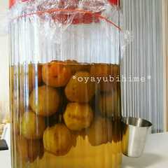 รูปของ 親子で乾杯♪梅シロップ