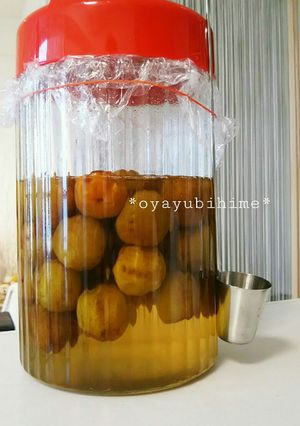 親子で乾杯♪梅シロップ-レシピのメイン写真