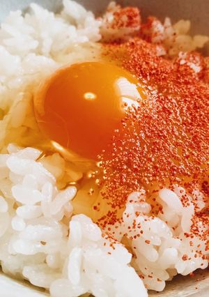 あかり卵かけご飯❤究極アレンジ卵かけご飯-レシピのメイン写真