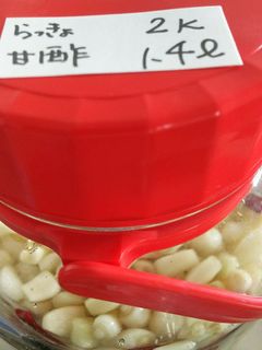 らっきょ漬け☆土つきで作るとしゃきしゃき-レシピのメイン写真