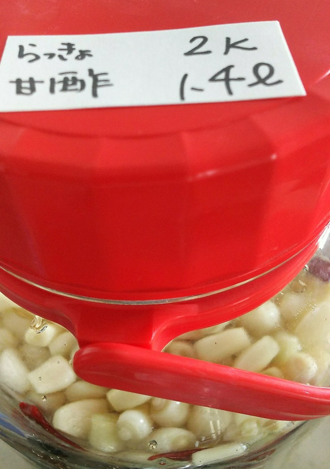 らっきょ漬け☆土つきで作るとしゃきしゃき-レシピのメイン写真