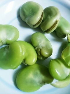 緑鮮やか♪レンジでそら豆-レシピのメイン写真