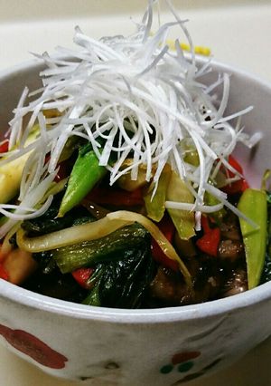 野菜たっぷりステーキ丼-レシピのメイン写真