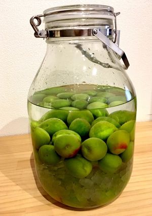 【保存食】梅酒(南高梅ver.)-レシピのメイン写真