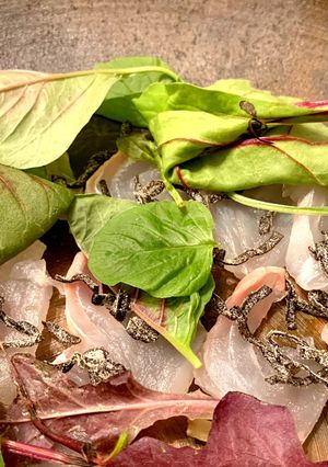 塩昆布の旨味★鯛の昆布締め風サラダ-レシピのメイン写真