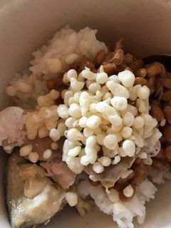 納豆とサバのまぜご飯-レシピのメイン写真
