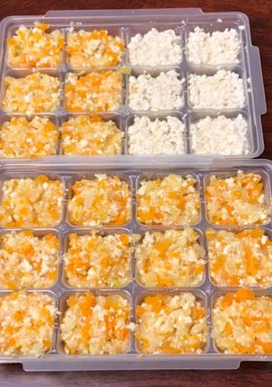 離乳食 鶏野菜ミックス-レシピのメイン写真