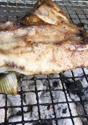 炭火でブリカマ焼き-レシピのメイン写真