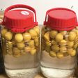 黄色い完熟梅で梅酒