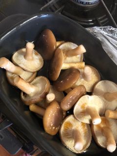 レンジで簡単!さっぱりしいたけポン酢♡-レシピのメイン写真
