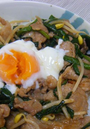 だんな丼★豚肉とにらの韓国どんぶり-レシピのメイン写真