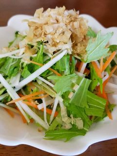 水菜のサラダ-レシピのメイン写真