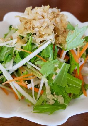 水菜のサラダ-レシピのメイン写真