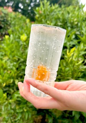 【銀杏酢】あんずシロップ-レシピのメイン写真