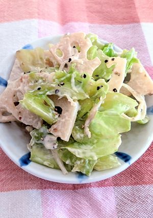 春キャベツとれんこんとしらすのマヨ和え♪-レシピのメイン写真