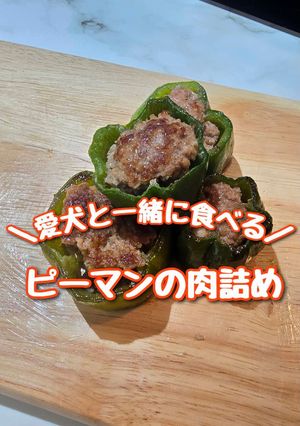 【犬用】ピーマンの肉詰め-レシピのメイン写真