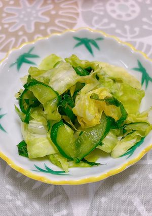 簡単、さっぱり漬物-レシピのメイン写真