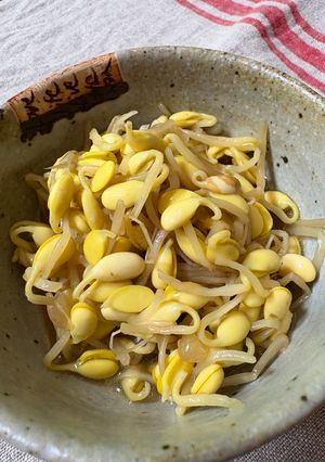 豆もやしのナムル-レシピのメイン写真