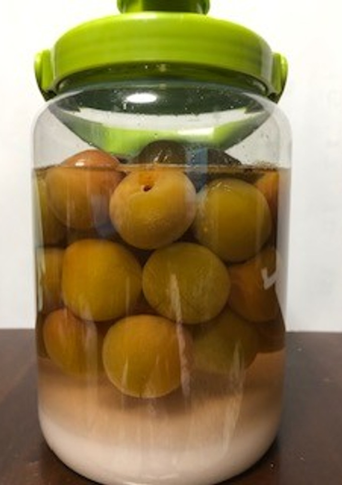 ばあばの簡単 梅の砂糖漬け・梅サワ−-レシピのメイン写真