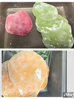 カラフル餃子の皮-レシピのメイン写真
