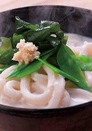 豆乳うどん(温)-レシピのメイン写真