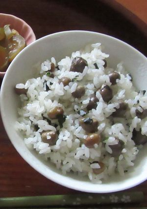 【小さなごちそう】むかごご飯-レシピのメイン写真
