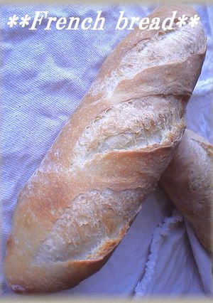 French bread-レシピのメイン写真